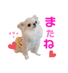 プラネルビsister's（個別スタンプ：32）