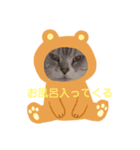 にゃんこ勢ぞろい(=^x^=)（個別スタンプ：3）