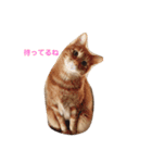 にゃんこ勢ぞろい(=^x^=)（個別スタンプ：7）