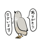 敬語のヒメウズラ・シルバー・かわいい小鳥（個別スタンプ：2）