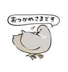 敬語のヒメウズラ・シルバー・かわいい小鳥（個別スタンプ：4）