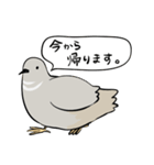 敬語のヒメウズラ・シルバー・かわいい小鳥（個別スタンプ：5）