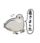 敬語のヒメウズラ・シルバー・かわいい小鳥（個別スタンプ：10）