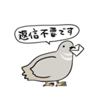敬語のヒメウズラ・シルバー・かわいい小鳥（個別スタンプ：12）