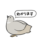 敬語のヒメウズラ・シルバー・かわいい小鳥（個別スタンプ：15）
