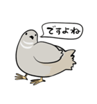 敬語のヒメウズラ・シルバー・かわいい小鳥（個別スタンプ：16）