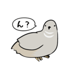 敬語のヒメウズラ・シルバー・かわいい小鳥（個別スタンプ：18）