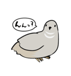 敬語のヒメウズラ・シルバー・かわいい小鳥（個別スタンプ：19）
