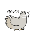 敬語のヒメウズラ・シルバー・かわいい小鳥（個別スタンプ：22）