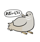 敬語のヒメウズラ・シルバー・かわいい小鳥（個別スタンプ：26）