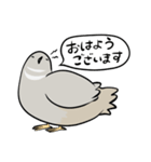 敬語のヒメウズラ・シルバー・かわいい小鳥（個別スタンプ：28）