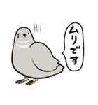 敬語のヒメウズラ・シルバー・かわいい小鳥（個別スタンプ：38）