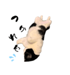 ばずのきもち（個別スタンプ：3）