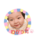 ひなたんと愉快な仲間たち②（個別スタンプ：2）