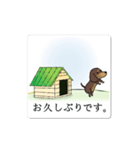 激しく尻尾をふるイヌ 【ダックスの一日】（個別スタンプ：17）