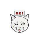 わいずねこスタンプ（個別スタンプ：1）