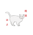 わいずねこスタンプ（個別スタンプ：6）