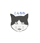 わいずねこスタンプ（個別スタンプ：10）