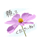 手書きの優しい言葉にコスモスの花を添えて（個別スタンプ：6）