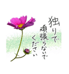 手書きの優しい言葉にコスモスの花を添えて（個別スタンプ：8）