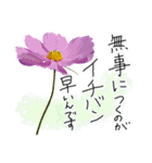 手書きの優しい言葉にコスモスの花を添えて（個別スタンプ：19）