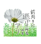 手書きの優しい言葉にコスモスの花を添えて（個別スタンプ：28）