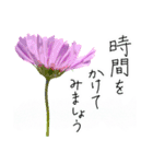 手書きの優しい言葉にコスモスの花を添えて（個別スタンプ：33）