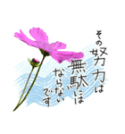 手書きの優しい言葉にコスモスの花を添えて（個別スタンプ：35）