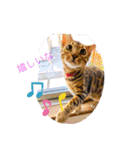 〜いぬ＆ねこの癒し〜（個別スタンプ：24）