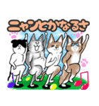 タムちゃん的ニャンとかなるさ（個別スタンプ：6）