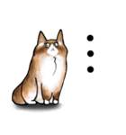 タムちゃん的ニャンとかなるさ（個別スタンプ：19）