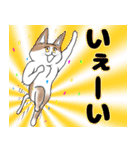 タムちゃん的ニャンとかなるさ（個別スタンプ：20）