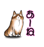 タムちゃん的ニャンとかなるさ（個別スタンプ：23）