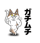 タムちゃん的ニャンとかなるさ（個別スタンプ：24）