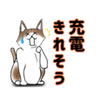 タムちゃん的ニャンとかなるさ（個別スタンプ：27）