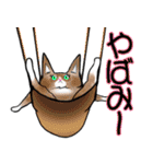 タムちゃん的ニャンとかなるさ（個別スタンプ：30）