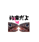 キモかわどんこさん（個別スタンプ：4）