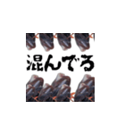 キモかわどんこさん（個別スタンプ：7）