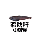 キモかわどんこさん（個別スタンプ：10）