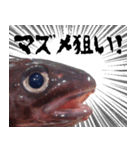 キモかわどんこさん（個別スタンプ：11）