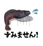 キモかわどんこさん（個別スタンプ：12）