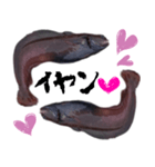 キモかわどんこさん（個別スタンプ：13）