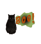 黒猫のハロウィンスタンプ（個別スタンプ：5）