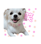 unichan stamp（個別スタンプ：3）