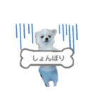unichan stamp（個別スタンプ：6）
