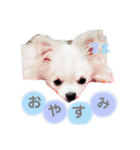 unichan stamp（個別スタンプ：12）