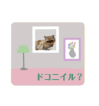 おしゃカワ猫スタンプ（個別スタンプ：22）