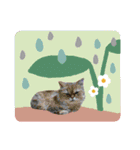 おしゃカワ猫スタンプ（個別スタンプ：25）