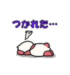 パンダのモモくん（個別スタンプ：24）