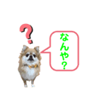 chocoちゃんスタンプ！（個別スタンプ：4）